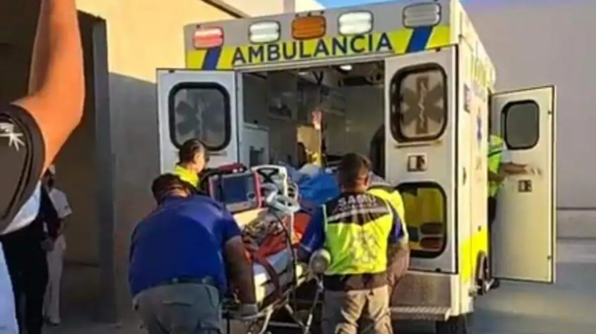 WhatsApp Image 2025-12-28 at 17.37.53