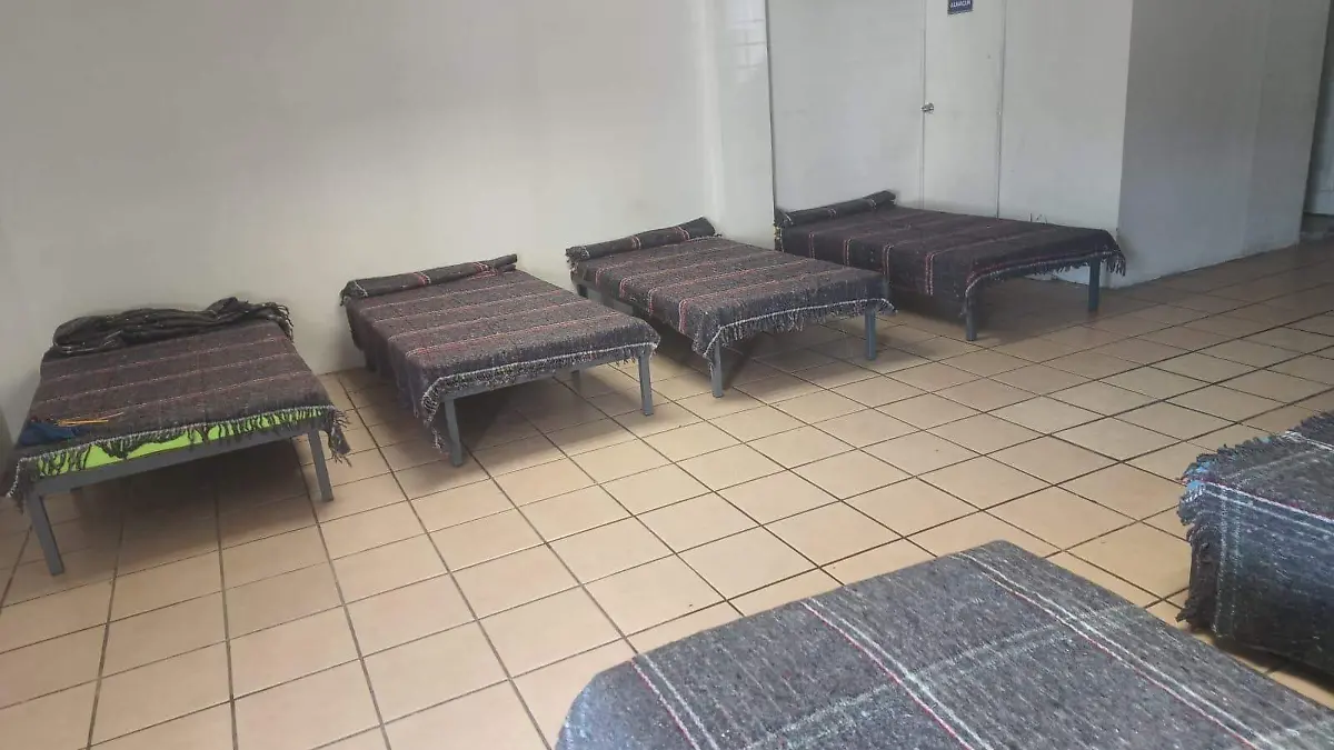 WhatsApp Image 2025-12-29 at 11.41.08