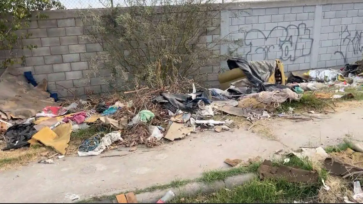 WhatsApp Image 2025-12-29 at 12.22.32