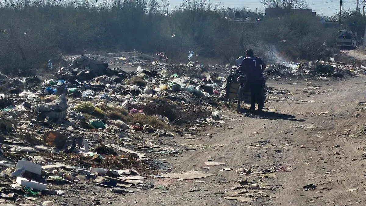 WhatsApp Image 2025-12-29 at 12.44.02