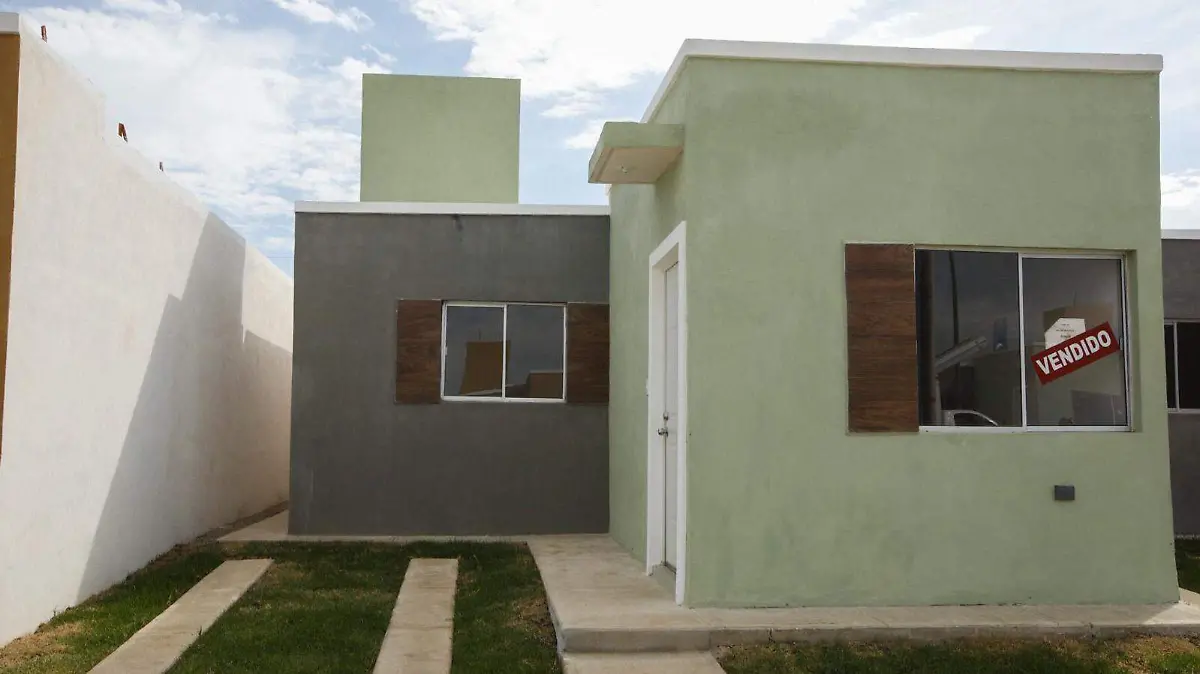 WhatsApp Image 2025-12-29 at 12.59.53 (1)