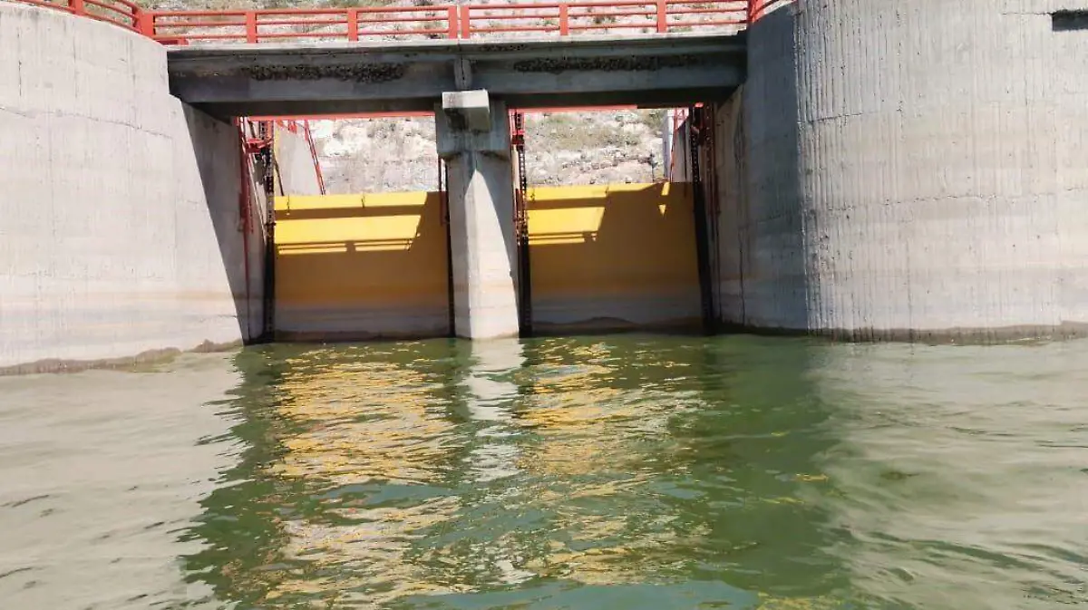 WhatsApp Image 2025-12-29 at 13.40.59