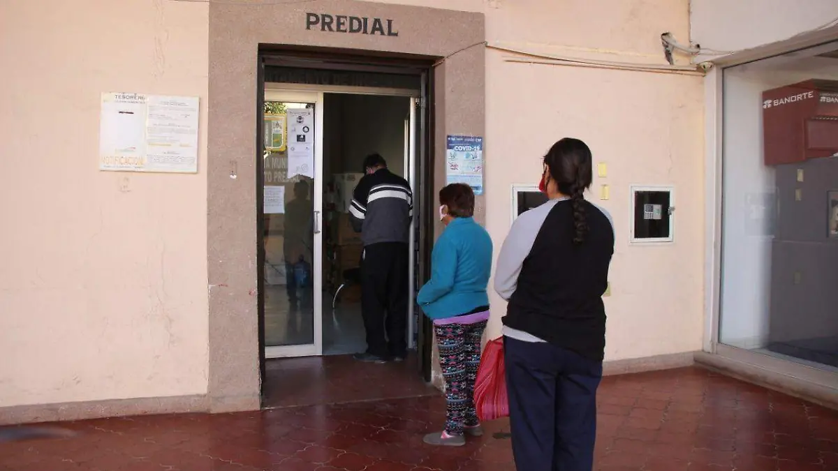 WhatsApp Image 2025-12-29 at 14.32.07