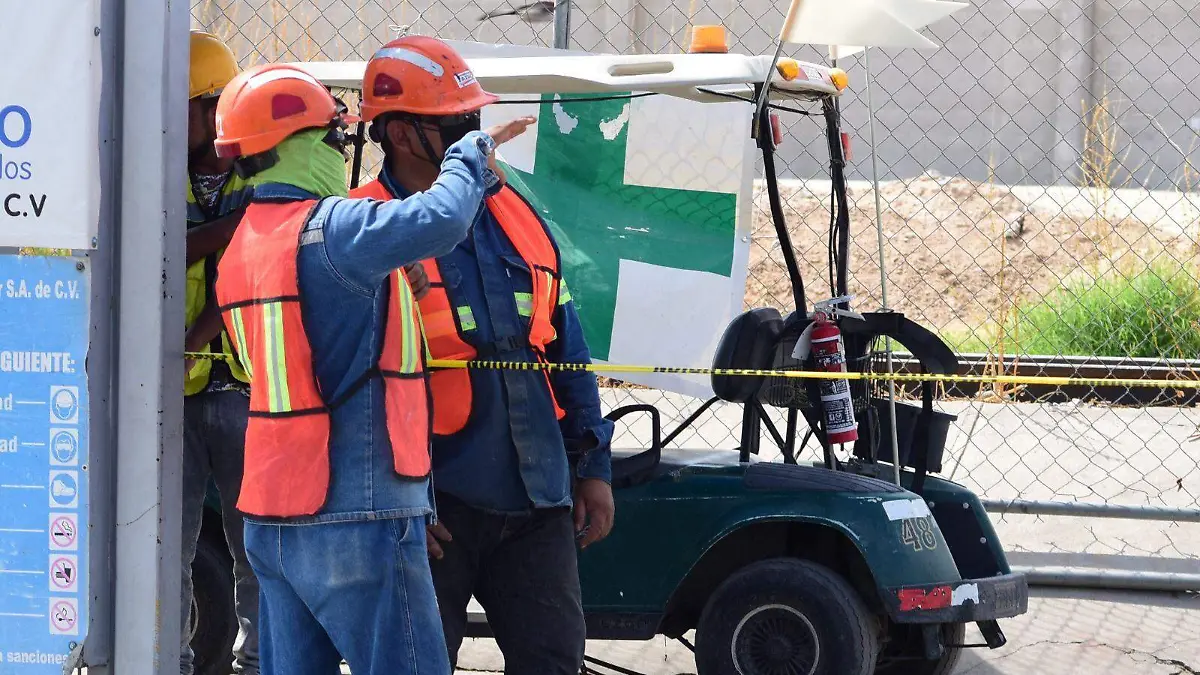 WhatsApp Image 2025-12-30 at 13.15.57 (1)