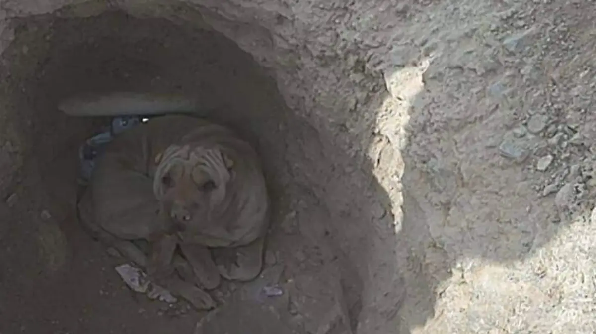 WhatsApp Image 2025-12-30 at 13.39.50 (1)