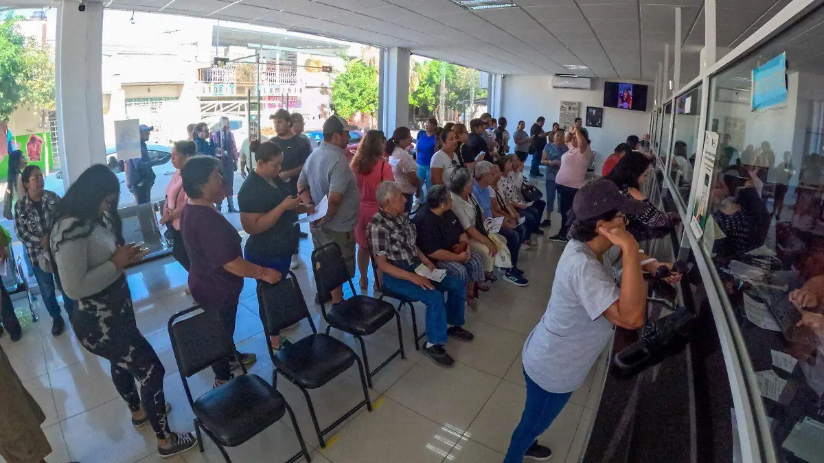 WhatsApp Image 2025-12-30 at 14.14.00