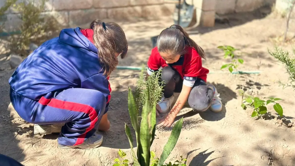 f1af09b0-d952-4181-b155-b09ab5e1424c