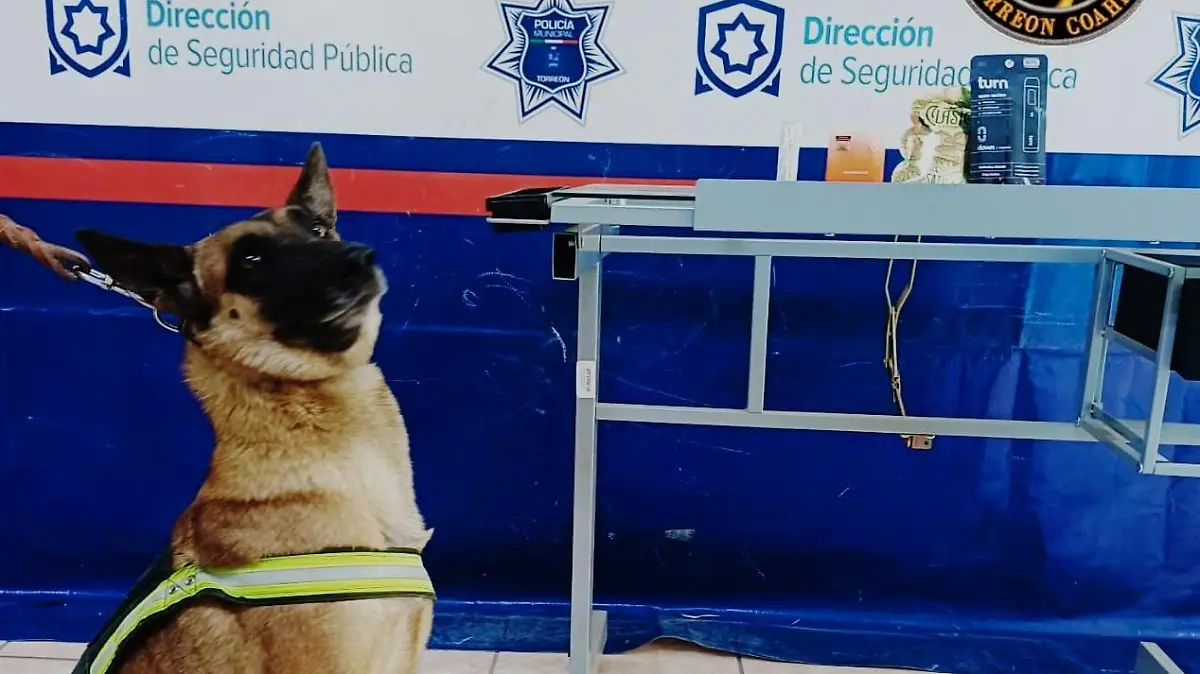 ab8bfe6f-1f00-41a3-9adf-efac026a4228