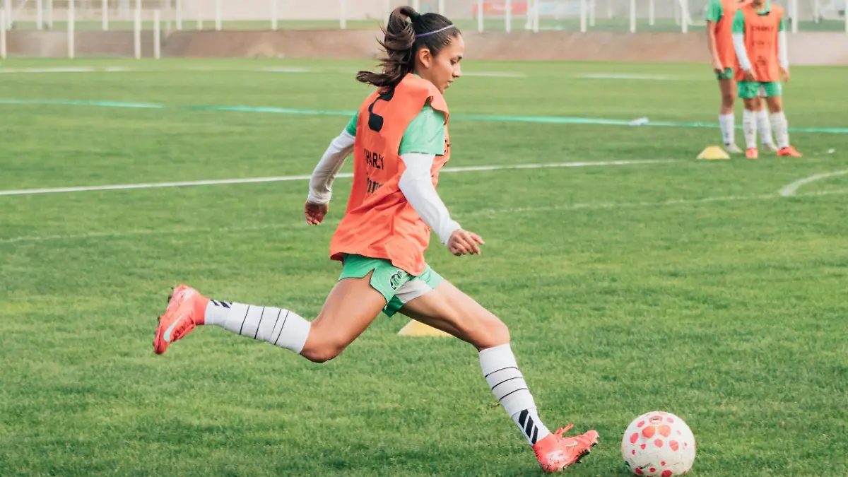 WhatsApp Image 2026-01-01 at 15.43.13