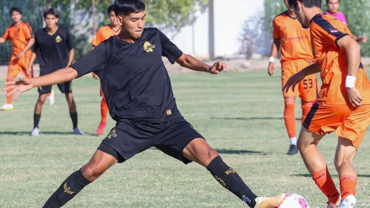 90a53a82-25dd-4e14-ab28-2f845dda42fa