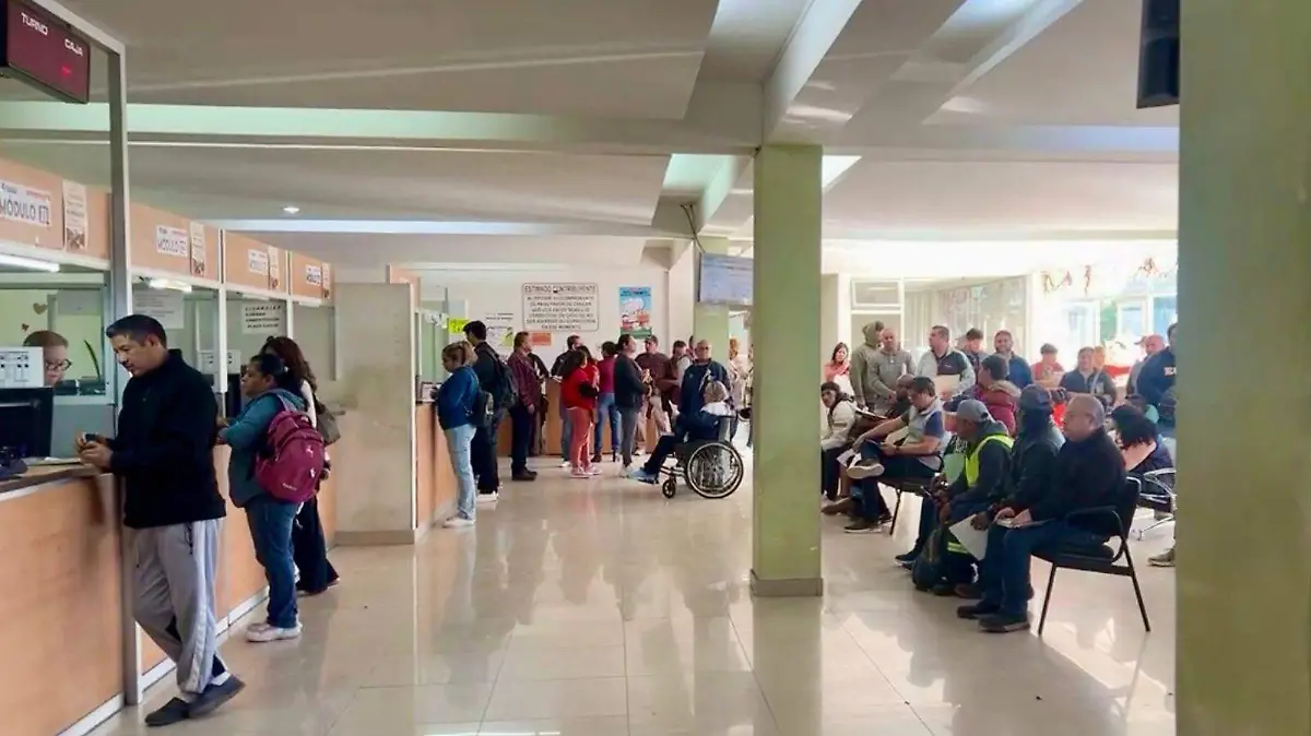 WhatsApp Image 2026-01-05 at 12.13.06