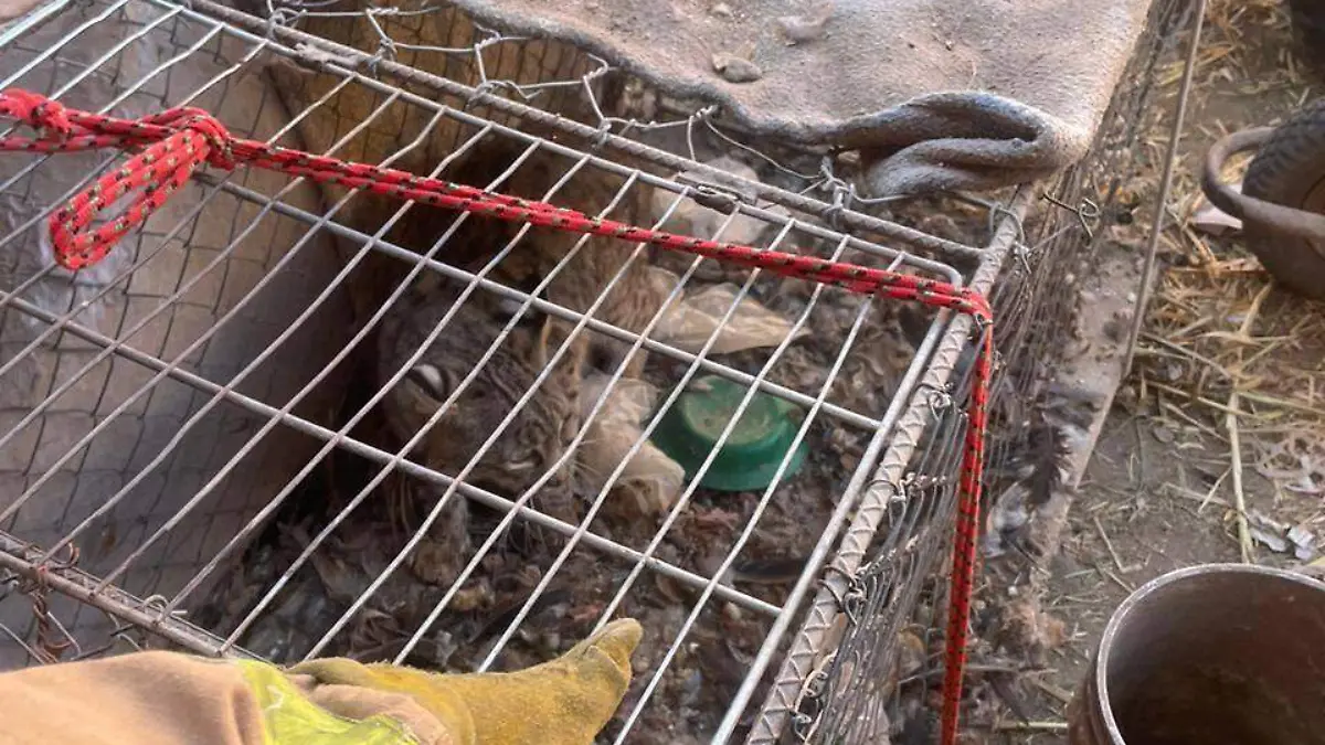 610970182_122230573346097050_1388056527193124994_n