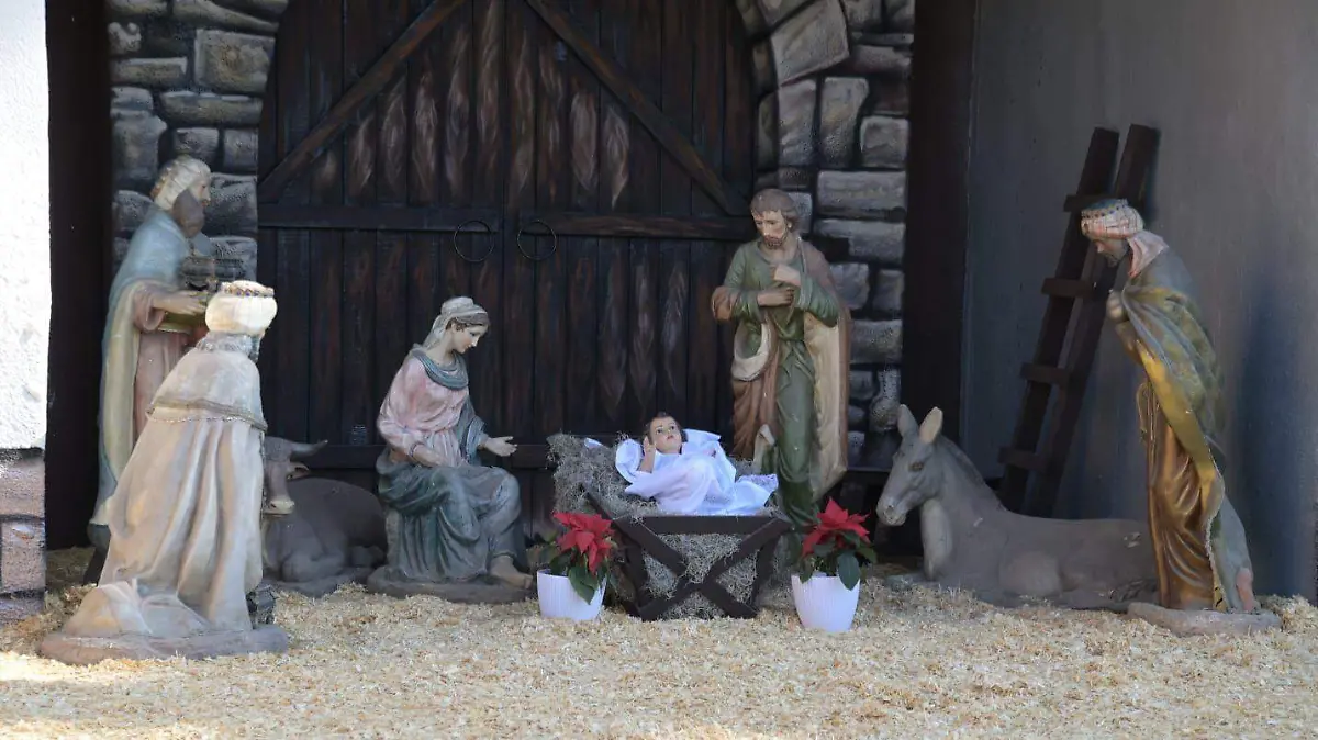 WhatsApp Image 2026-01-05 at 16.25.11