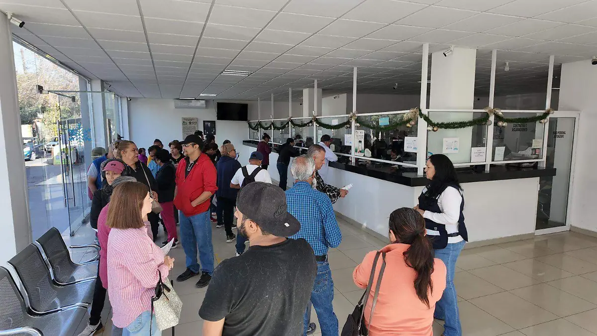 WhatsApp Image 2026-01-05 at 1.55.15 PM