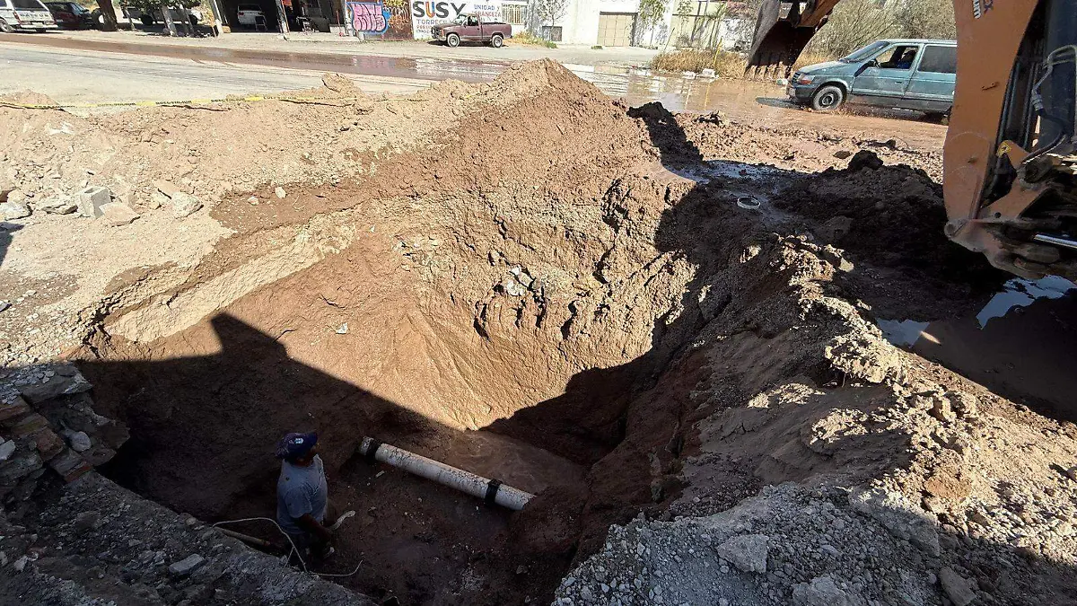 WhatsApp Image 2026-01-06 at 14.09.02 (1)