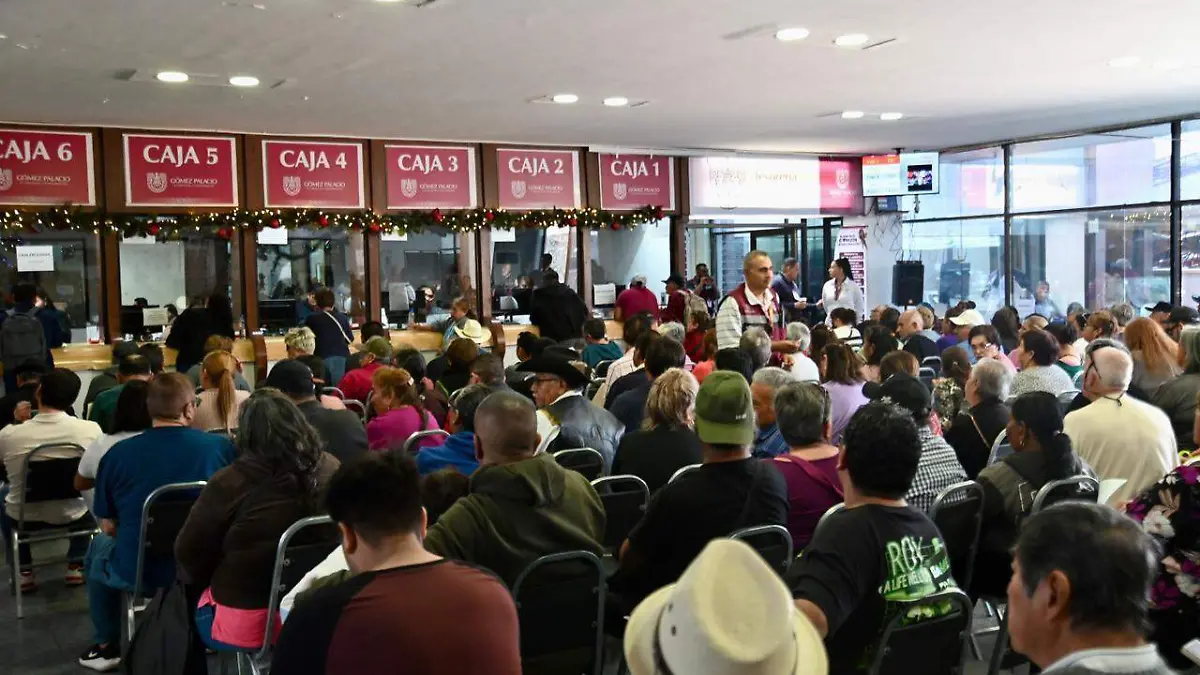 WhatsApp Image 2026-01-06 at 15.49.20