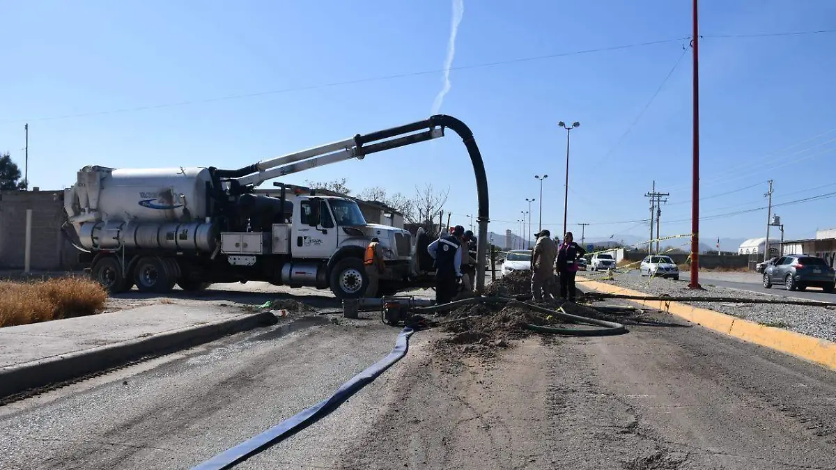 WhatsApp Image 2026-01-07 at 13.12.29