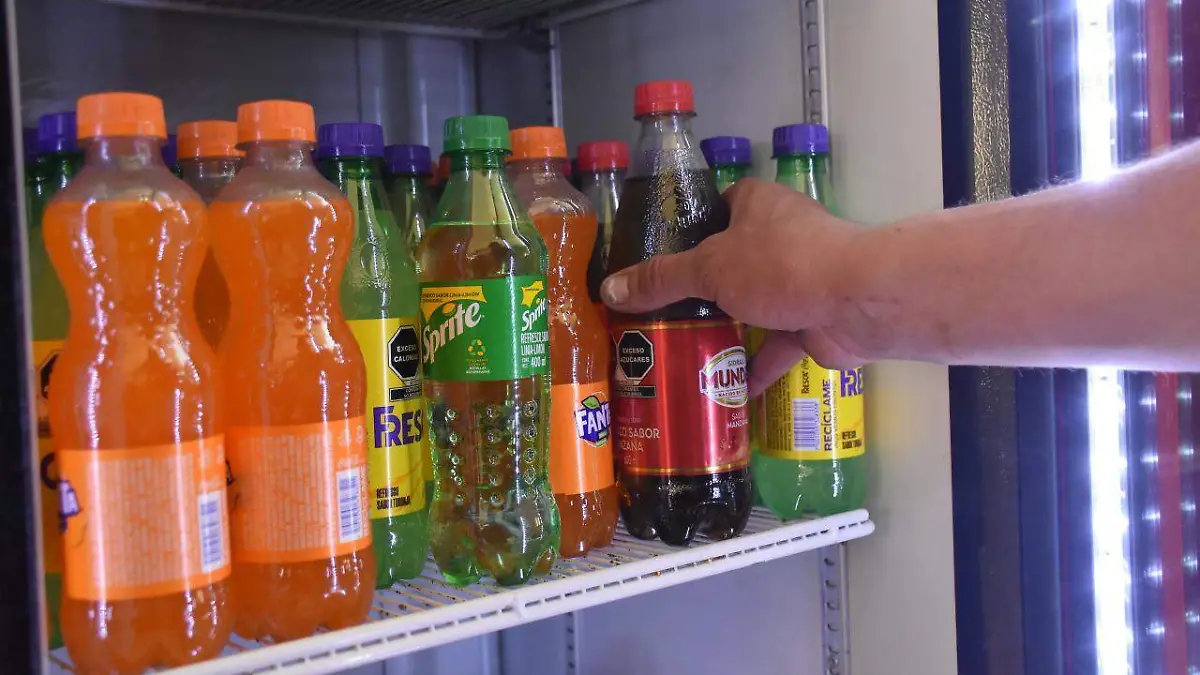 WhatsApp Image 2026-01-07 at 14.51.31 (1)