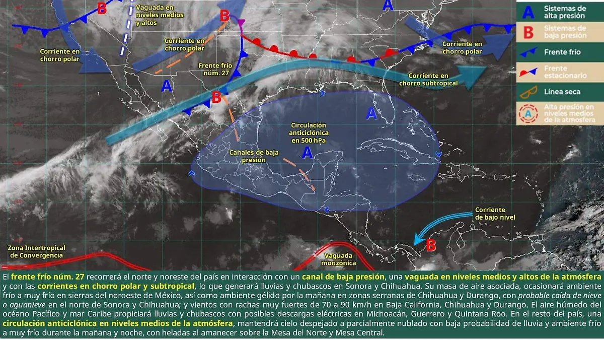 WhatsApp Image 2026-01-08 at 11.29.03