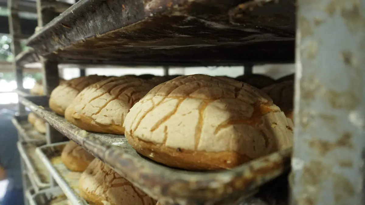 f6fd8072-37f3-43dc-b9c4-26393c738773