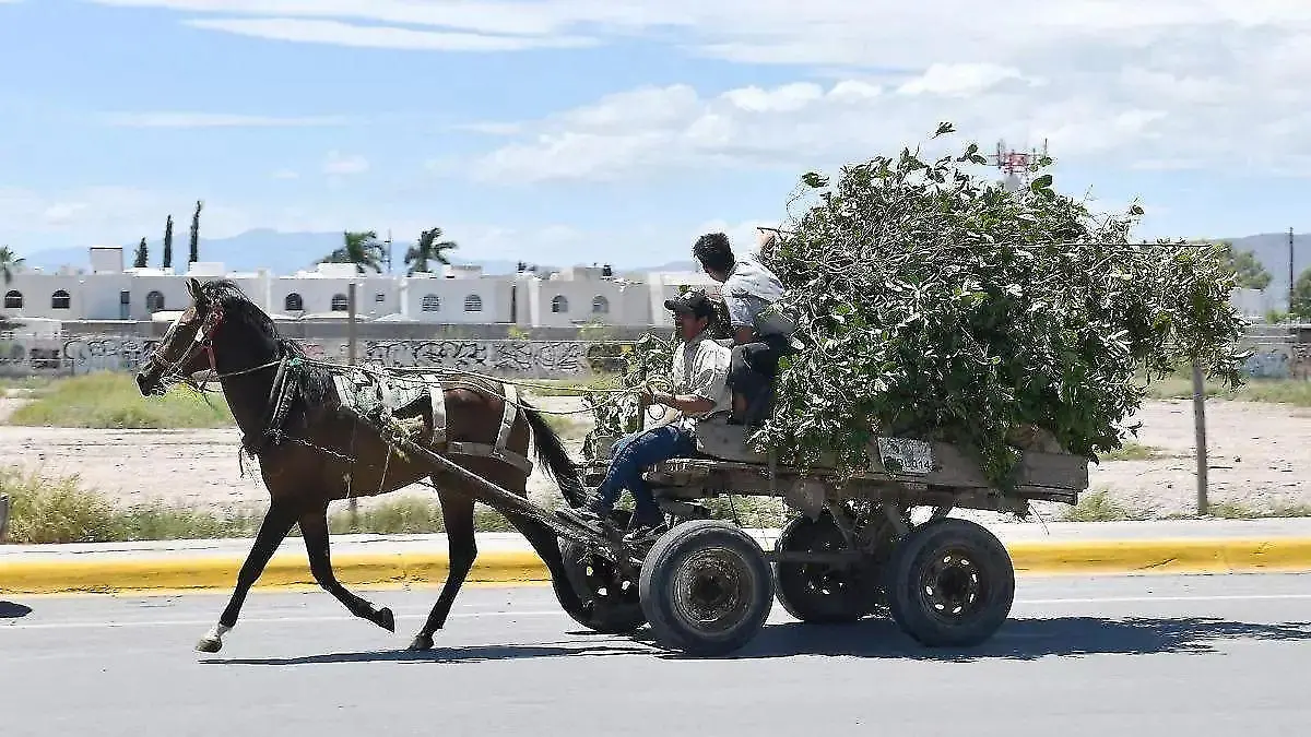 88a026ea-0f79-47e3-a341-10ee72f2a32b