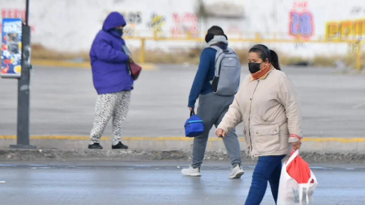 WhatsApp Image 2026-01-09 at 11.33.37