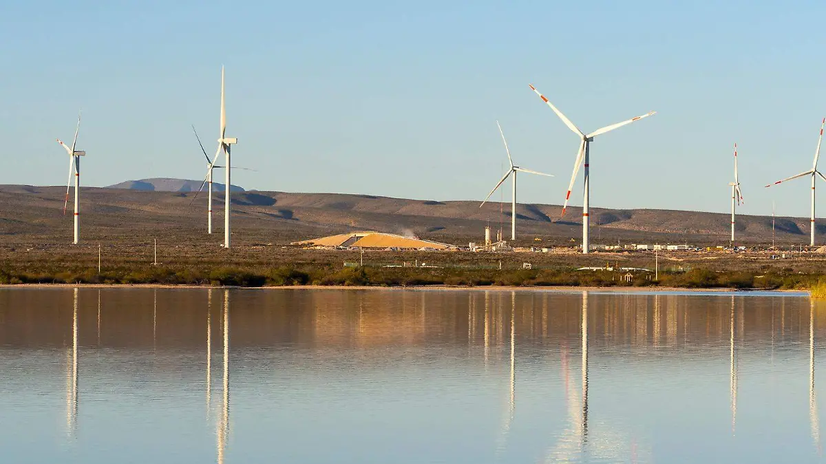 WhatsApp Image 2026-01-09 at 13.35.57