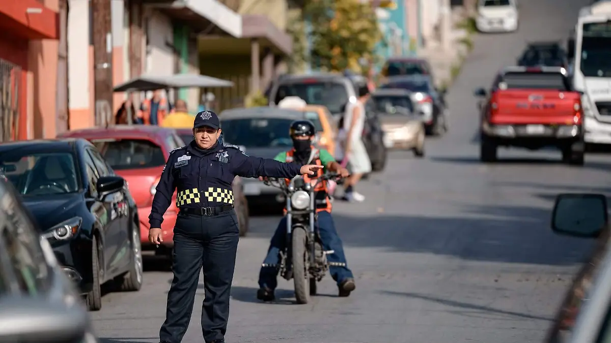 WhatsApp Image 2026-01-11 at 09.40.22 (1)