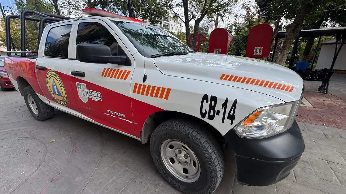 WhatsApp Image 2026-01-11 at 12.21.31