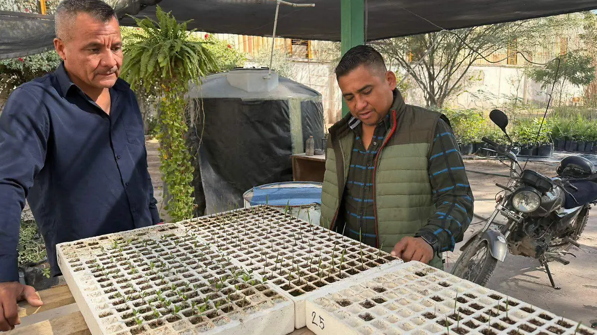 WhatsApp Image 2026-01-11 at 14.41.54