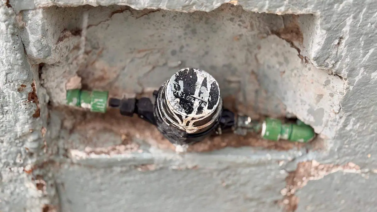 WhatsApp Image 2026-01-12 at 10.20.42