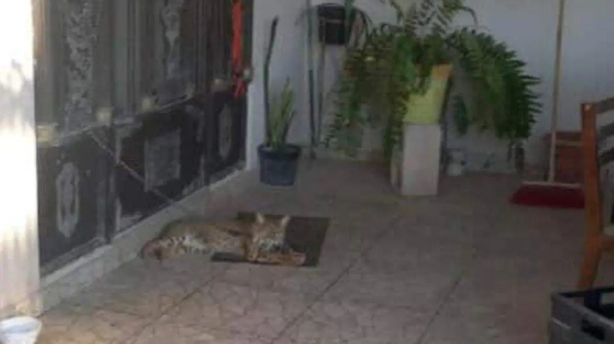 615331657_1375432584379997_4972504578845136864_n