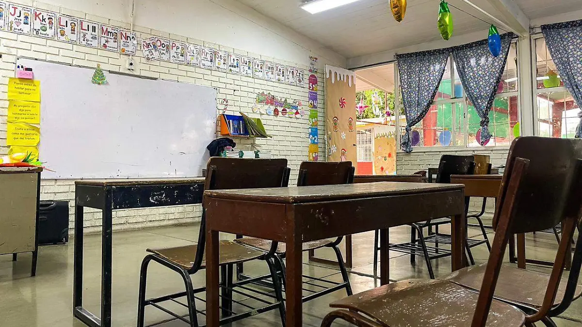 WhatsApp Image 2026-01-12 at 12.13.50