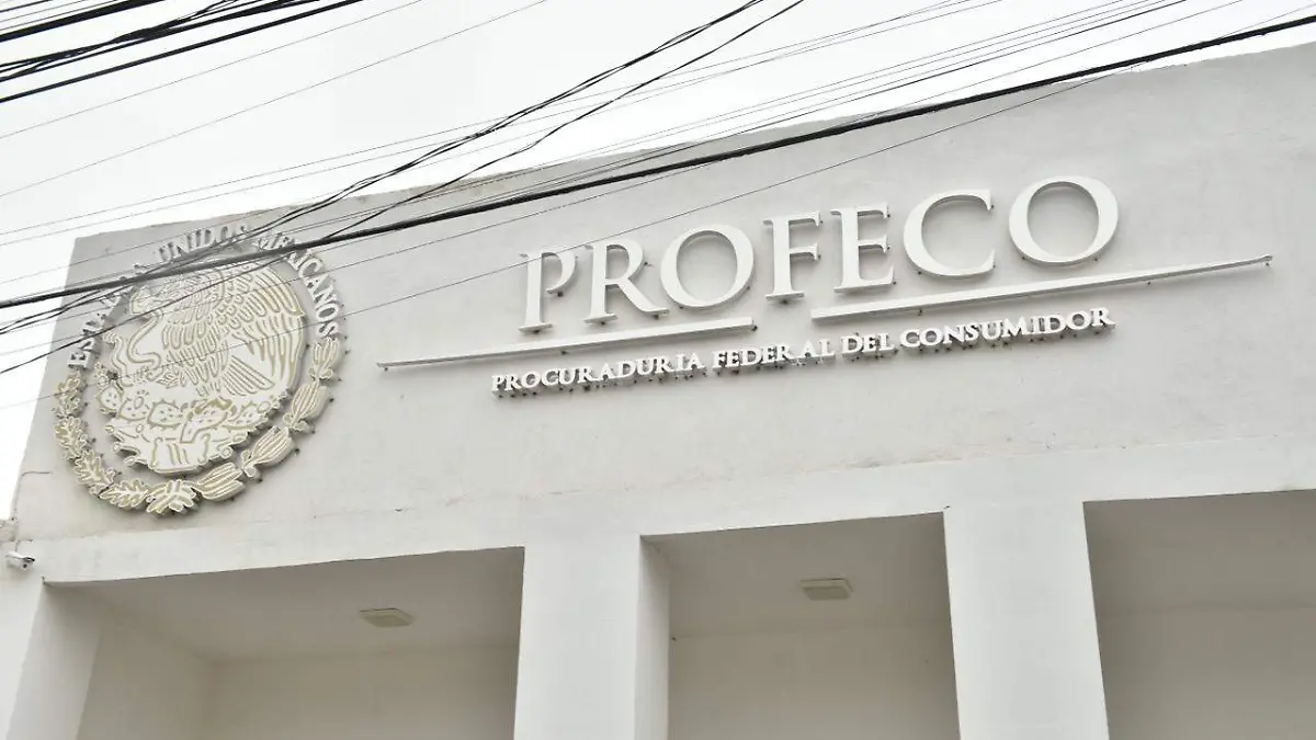 WhatsApp Image 2026-01-12 at 12.46.29