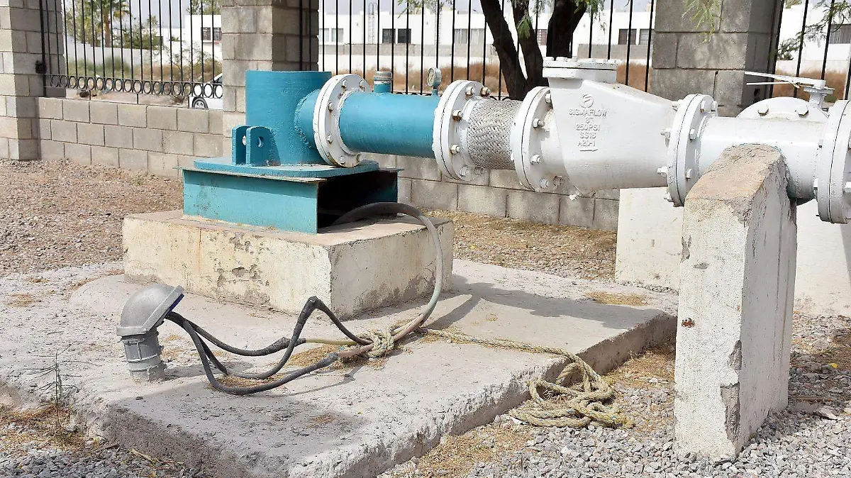 WhatsApp Image 2026-01-12 at 14.35.26