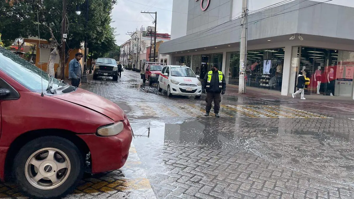 WhatsApp Image 2026-01-12 at 14.48.56