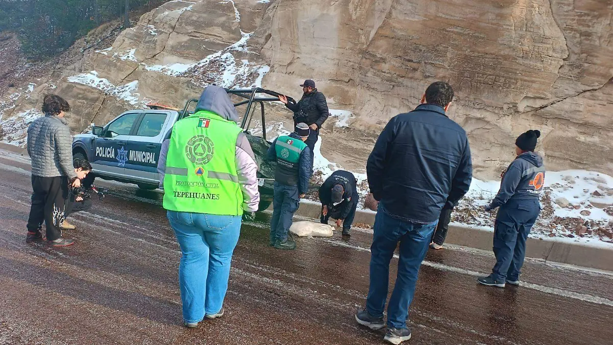 WhatsApp Image 2026-01-12 at 14.51.07