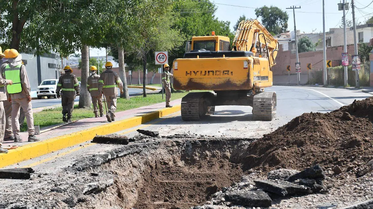 WhatsApp Image 2026-01-12 at 15.23.18