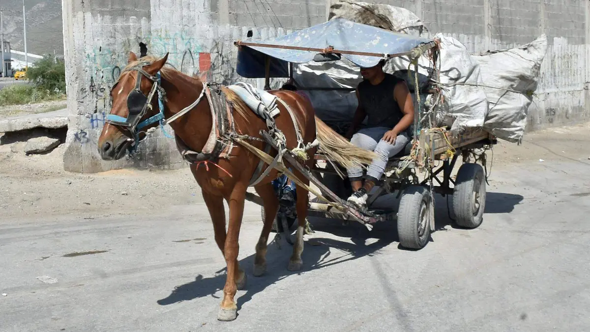 WhatsApp Image 2026-01-12 at 15.38.45