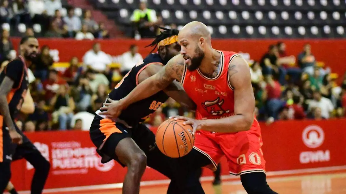 WhatsApp Image 2026-01-12 at 17.23.29