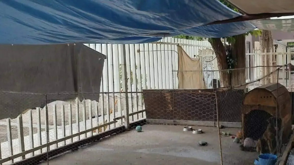 615556576_1376381780951744_2764968687304480084_n