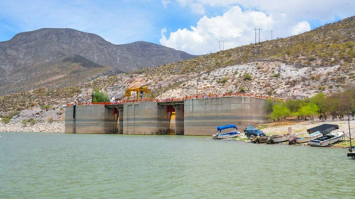 WhatsApp Image 2026-01-13 at 11.07.42