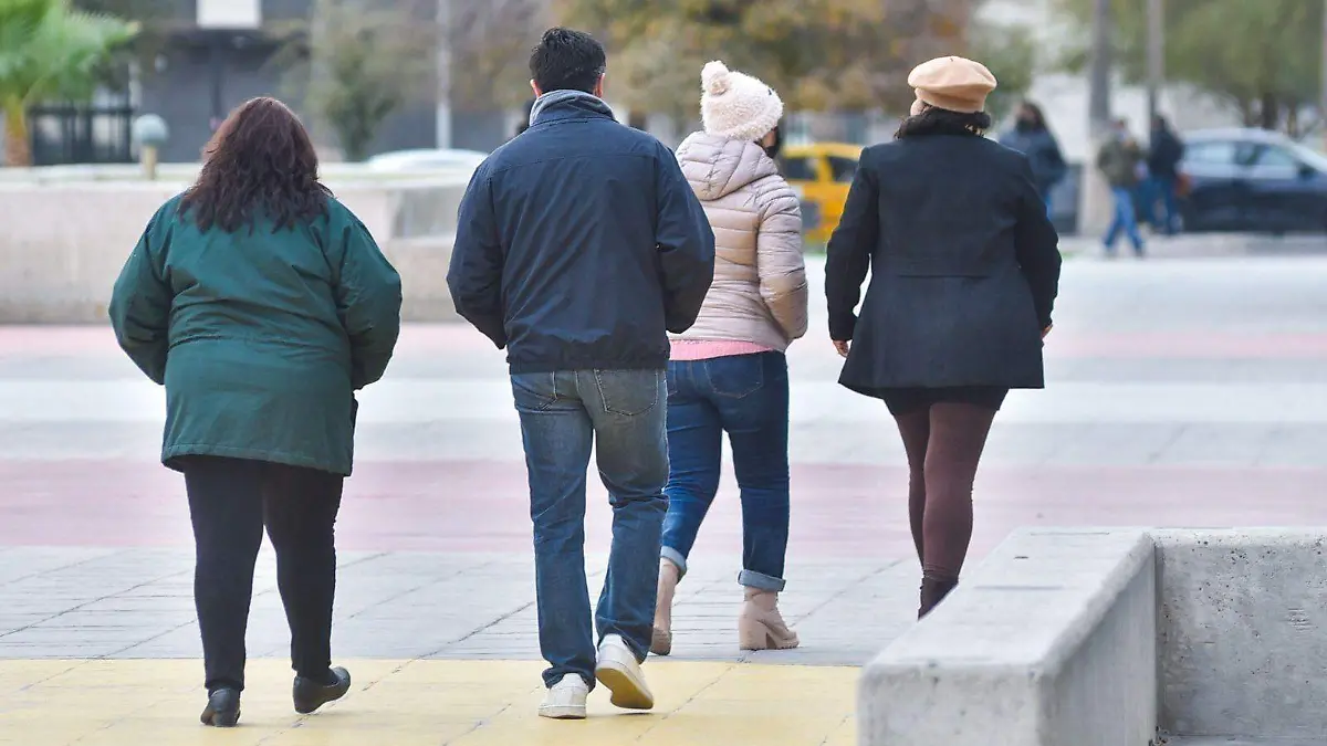 WhatsApp Image 2026-01-13 at 11.20.44