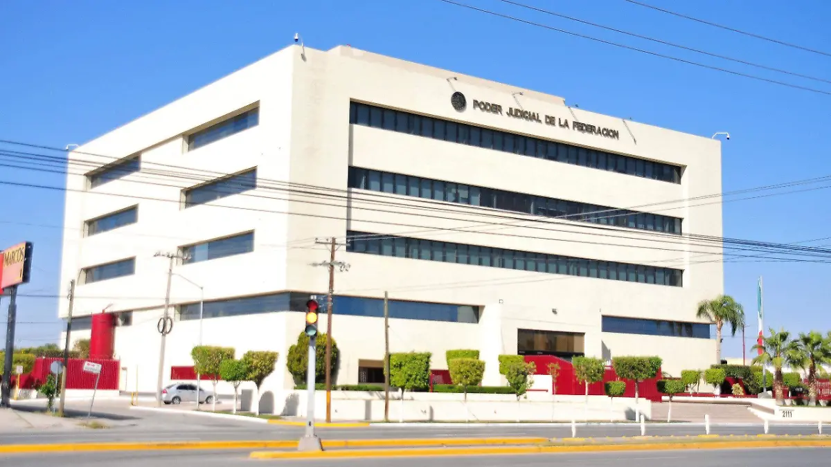 WhatsApp Image 2026-01-13 at 12.51.01