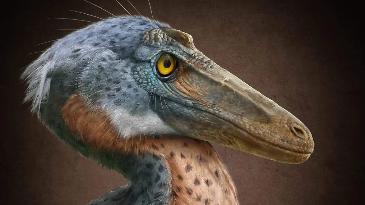 WhatsApp Image 2026-01-13 at 14.23.06 (1)