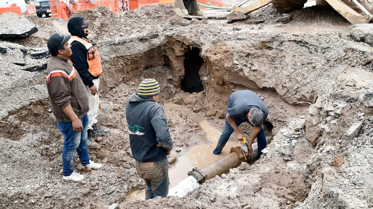 WhatsApp Image 2026-01-13 at 15.39.10