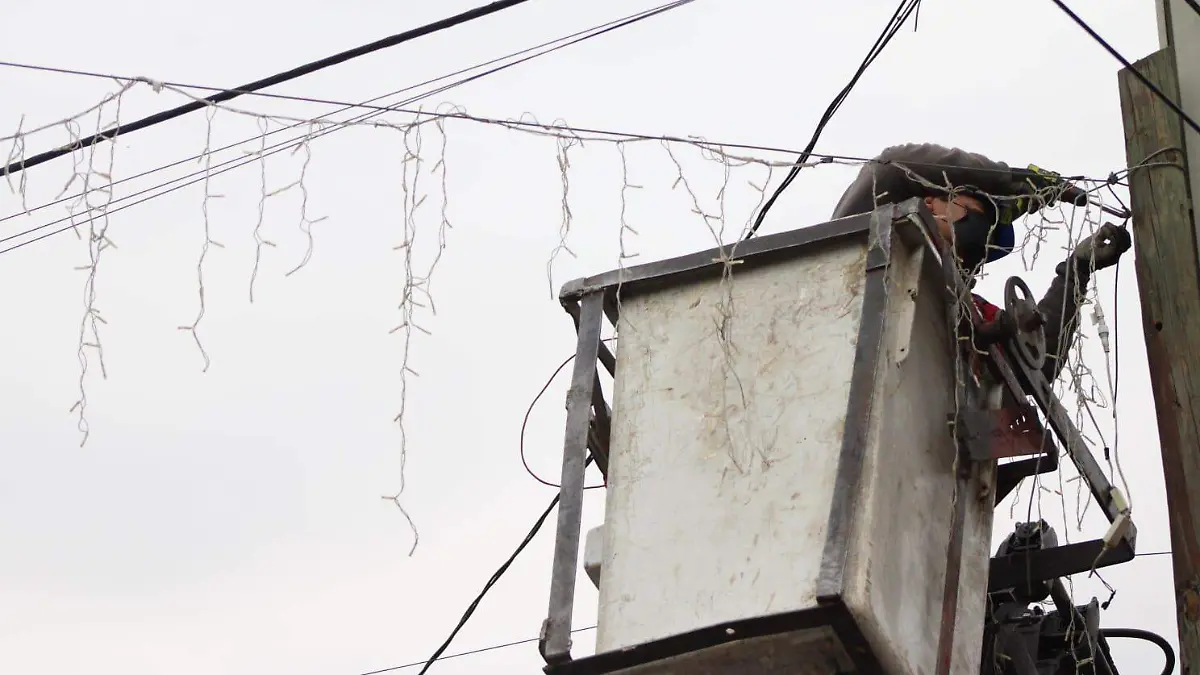 WhatsApp Image 2026-01-13 at 16.11.23