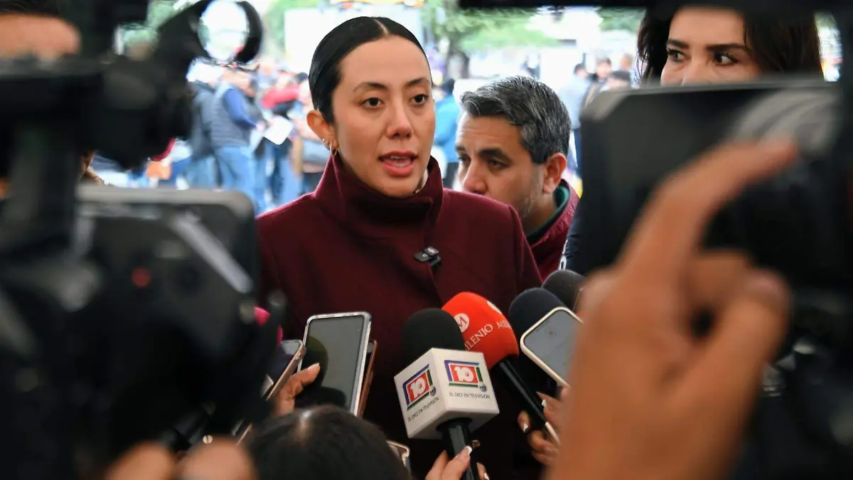 WhatsApp Image 2026-01-13 at 15.42.51