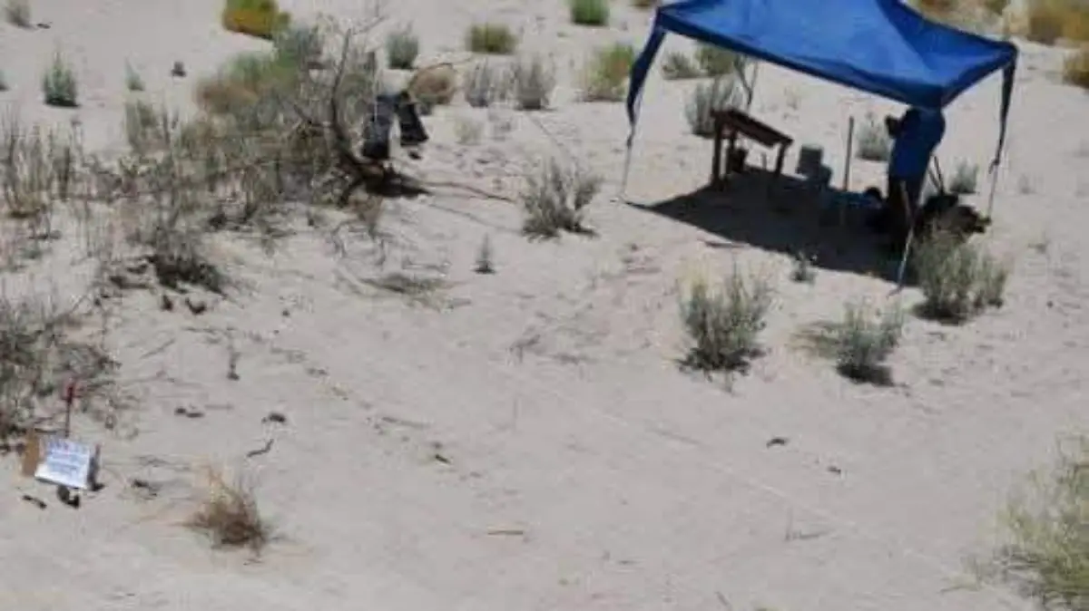 WhatsApp Image 2026-01-14 at 10.45.50