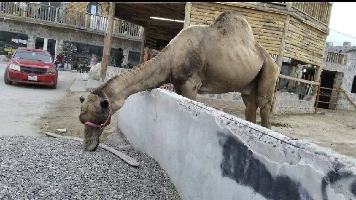 615289975_1375554824367773_7836529140462428273_n